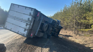 В Самарской области перевернулся грузовик на трассе М-5