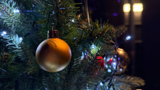 Самарцев ждет рекордно короткая рабочая зима в 56 дней