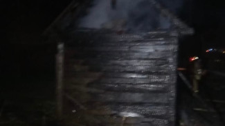 В Самарской области при пожаре пострадал 51-летний мужчина