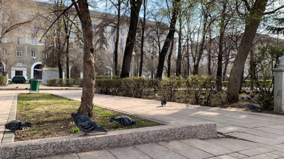 В Самаре назвали сквер именем пожарника Николая Кириленко