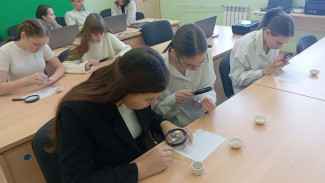 В Самаре до 2036 года построят шесть школ и детсадов