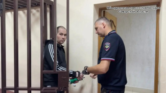 Самарский суд приговорил мошенника к 4,5 годам колонии за хищение 472 миллионов рублей