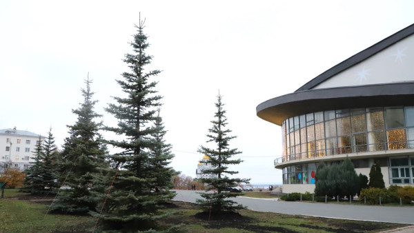 В Самаре высадили тысячи новых деревьев перед зимой