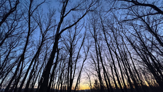 Весна всё ближе: в Самаре заметно увеличился световой день