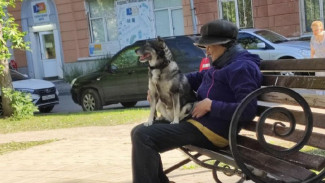 Самарцам рассказали, как в жару уберечь здоровье пожилым людям