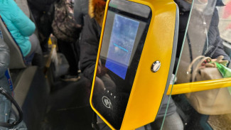 В Самарской области 165 тысяч человек пользуются льготами на проезд в транспорте