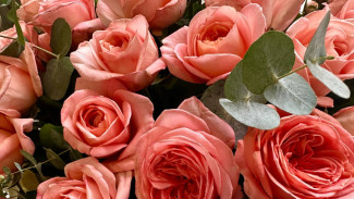 В Самарской области сократят список «неженских» профессий