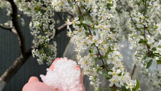 Синоптики рассказали, когда в Самарскую область придет первый снег 