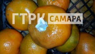 Раскрыта причина, почему в Самаре продают опасные мандарины