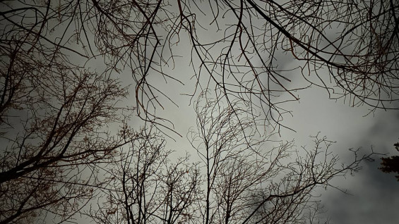 Ураганный ветер повредил здание военкомата под Самарой