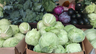 Судьба рынка «Солнечный» в Самаре решается в суде с 2021 года, снос отложен