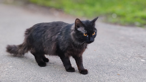 Народные приметы 19 мая. Не делайте этого на Иова Многострадального, если не хотите остаться бедным и одиноким