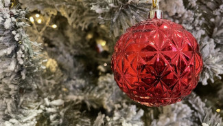 В МЧС рассказали самарцам, как выбрать безопасную ёлку