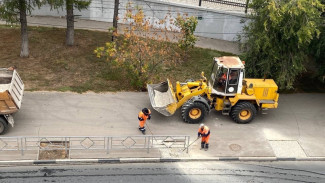 Руководитель самарского департамента ГХиЭ Е. Владимирский разъяснил ситуацию с деревьями на Красноармейской