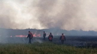 В Самарской области потушили ландшафтный пожар в Красноярском лесничестве 