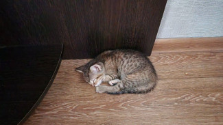 В Самарскую область придет неизбежная опасность 27 января