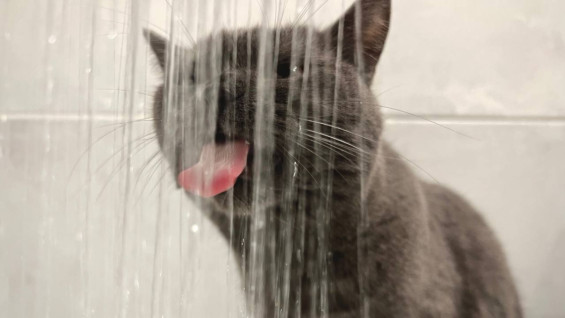 В Самаре запланировано отключение холодной воды 20 и 24 декабря 