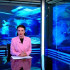 «Вести-Самара» 02.10.2026