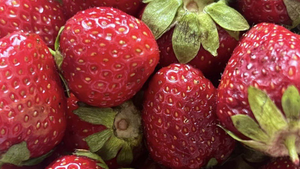 Самарский врач А. Сульдина рассказала о вреде ягод 