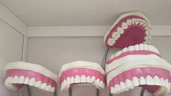 В самарском парке Гагарина научат правильно чистить зубы