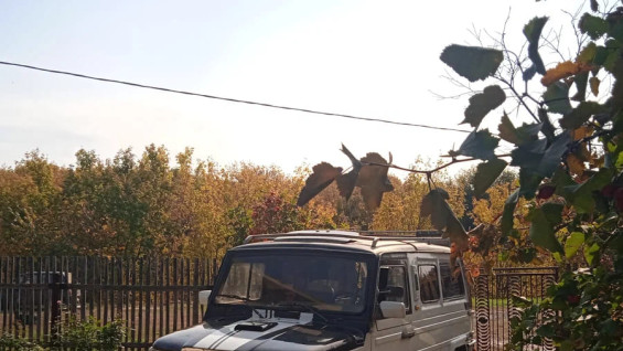 В Самаре продают ЛуАЗ «Ивашка» 1988 года с модернизацией от завода «Прогресс»