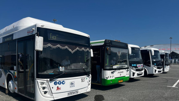 В Самарской области с 1 сентября 2026 года введут электронный реестр пассажирских перевозок