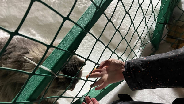 Народный календарь: 26 марта. Не делайте этого в Никифоров день, чтобы не ходить весь в год в долгах