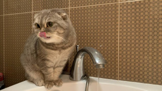 7 улиц Самары временно останутся без воды 1 сентября