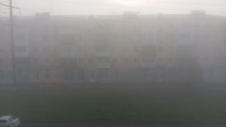11 августа в Самарской области ожидается туман