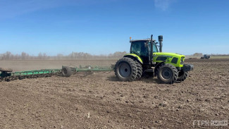В Самарской области завершают боронование