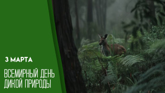 Всемирный день дикой природы — 3 марта: напоминание о богатстве нашей планеты