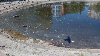 В Самаре начали очищать пруд в парке Победы, где жила утка с потомством