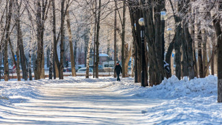 В конце февраля в Самарской области резко потеплеет