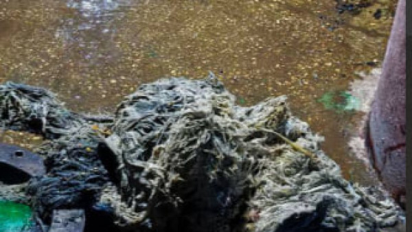 Из самарской канализации достали очередного мусорного "монстра"