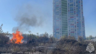 14 сентября в Тольятти произошел крупный природный пожар