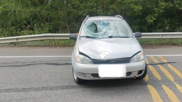 В Самарской области “Калина” сбила 14-летнего мальчика на обочине 