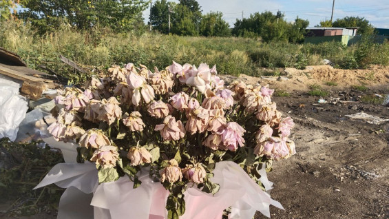 В Самарской области выросла госпошлина за развод