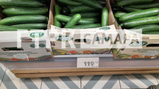 Цены снизились: в Самаре начали продавать бюджетные огурцы
