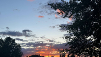 Народный календарь 28 июня. Не делайте этого в Фитов день, если не хотите потерять деньги и здоровье