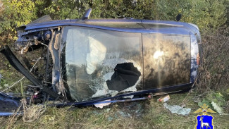 Полиция рассказала, кто пострадал в улетевшем в кювет Opel под Самарой