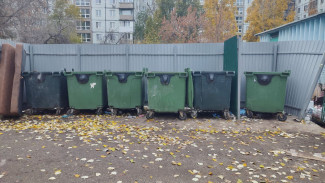 В Самарской области стабилизировали систему вывоза мусора и готовят новые экопроекты  