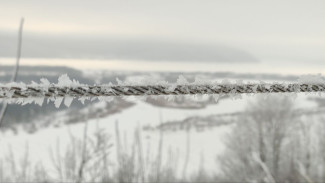 Срочное предупреждение: Самарскую область выморозит до -32°C