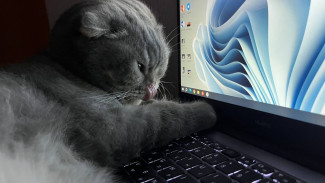 В Самаре в пятницу, 6 марта, не будет сокращенного рабочего дня