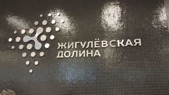Гранты участникам СВО и развитие «Жигулевской долины» заложены в бюджет Самарской области на 2027