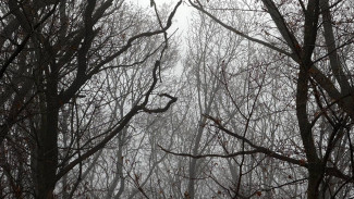 В Самарском регионе всю ночь 13 декабря действовал режим опасности атаки БПЛА