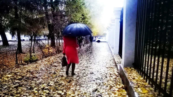 В эти выходные погода в Самарской области будет отличаться капризным характером