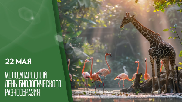 22 мая - Международный день биологического разнообразия: как поздравить любителей животных