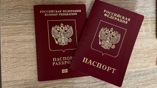 Госдума поддержала отмену записи о детях в загранпаспортах