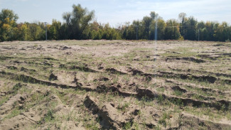 В Самаре из-за опасной болезни ввели карантин на острове Поджабный