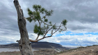 Не самый тёплый день ждёт жителей Самарской области 14 апреля 